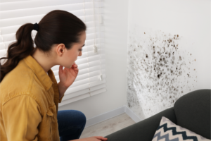 Mold on walls