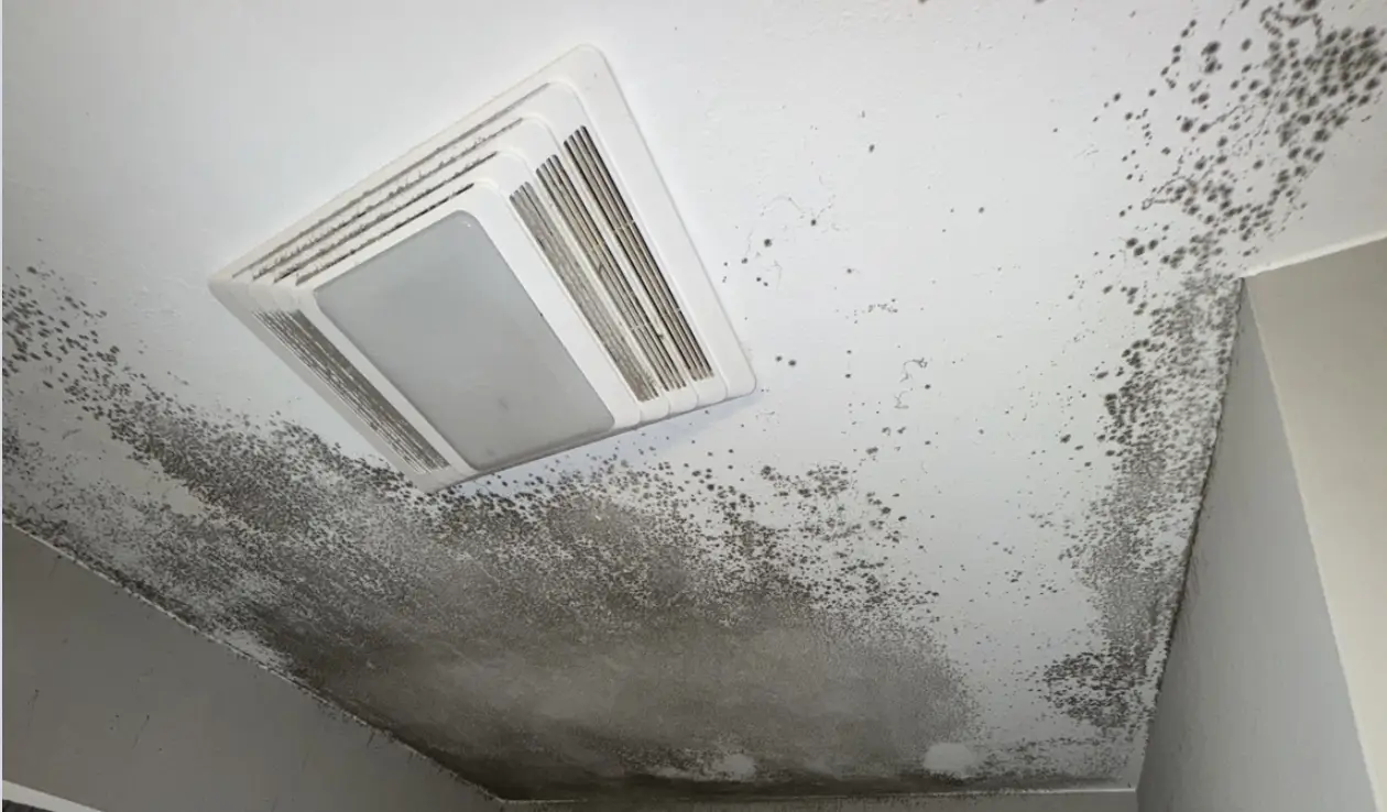 Ceiling covered in black mold spots around a bathroom vent due to moisture buildup.
