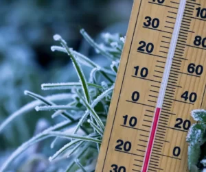A close-up of a wooden outdoor thermometer showing subzero temperatures, with frosty plants in the background.