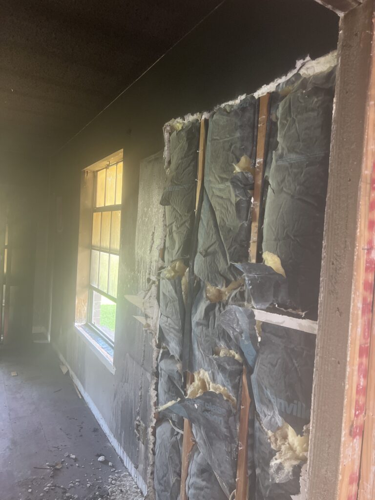 Mold damage service 