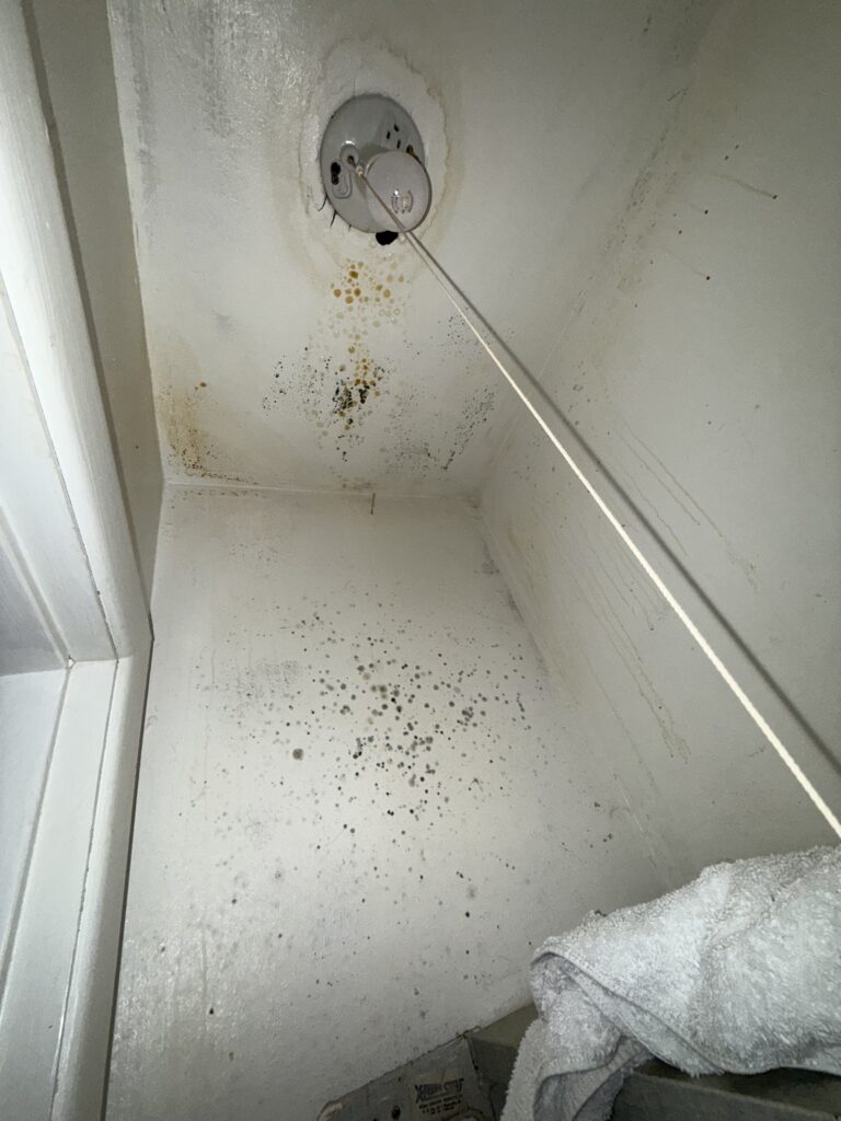 Mold Restoration 